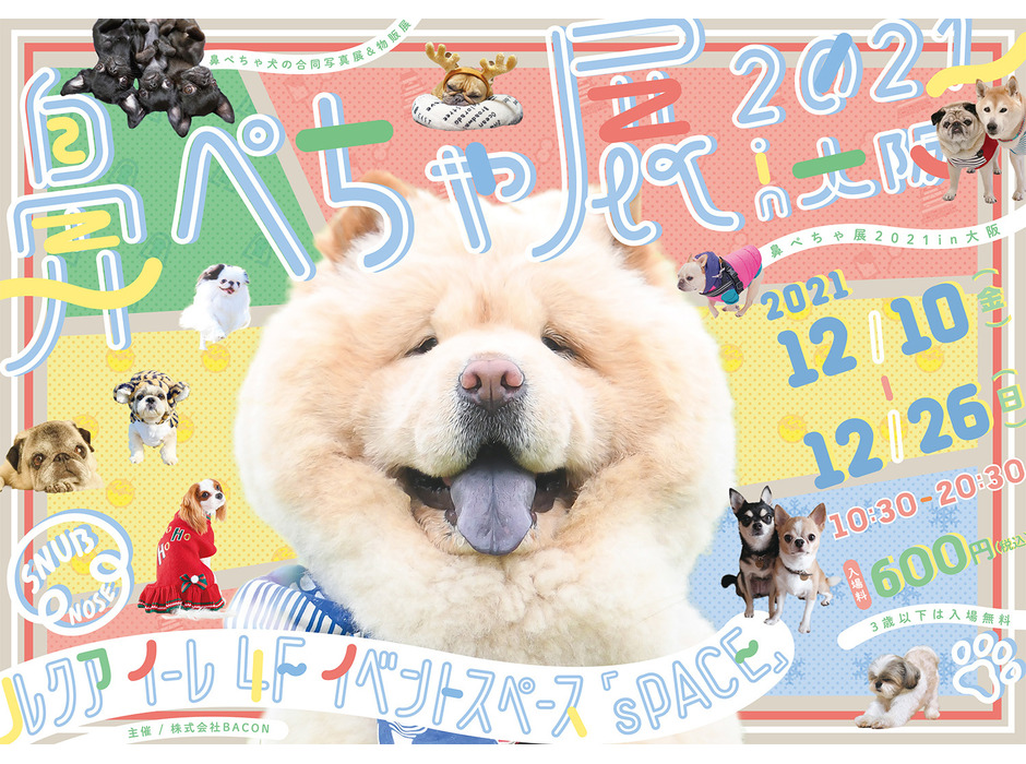 「鼻ぺちゃ展 2021」1年ぶりに大阪で開催、クリスマス限定フォトスポットや特典も
