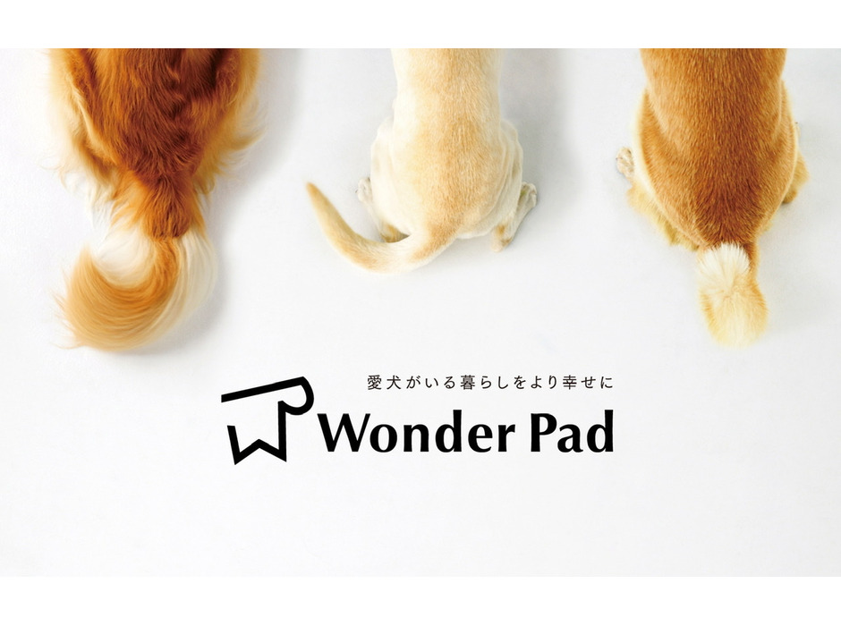 「Wonder Pad」オープン