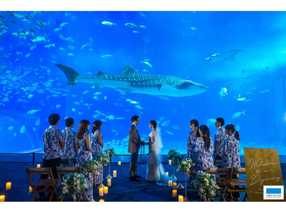 沖縄美ら海水族館でのリゾートウェディングサービス開始