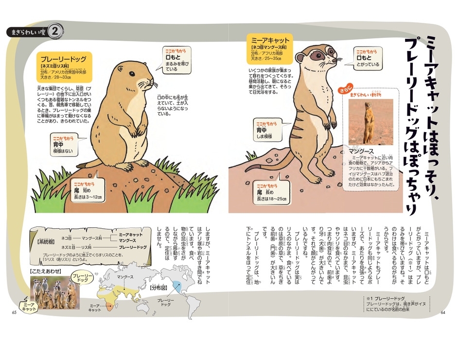 今泉忠明先生監修『世界一まぎらわしい動物図鑑』、小学館より刊行