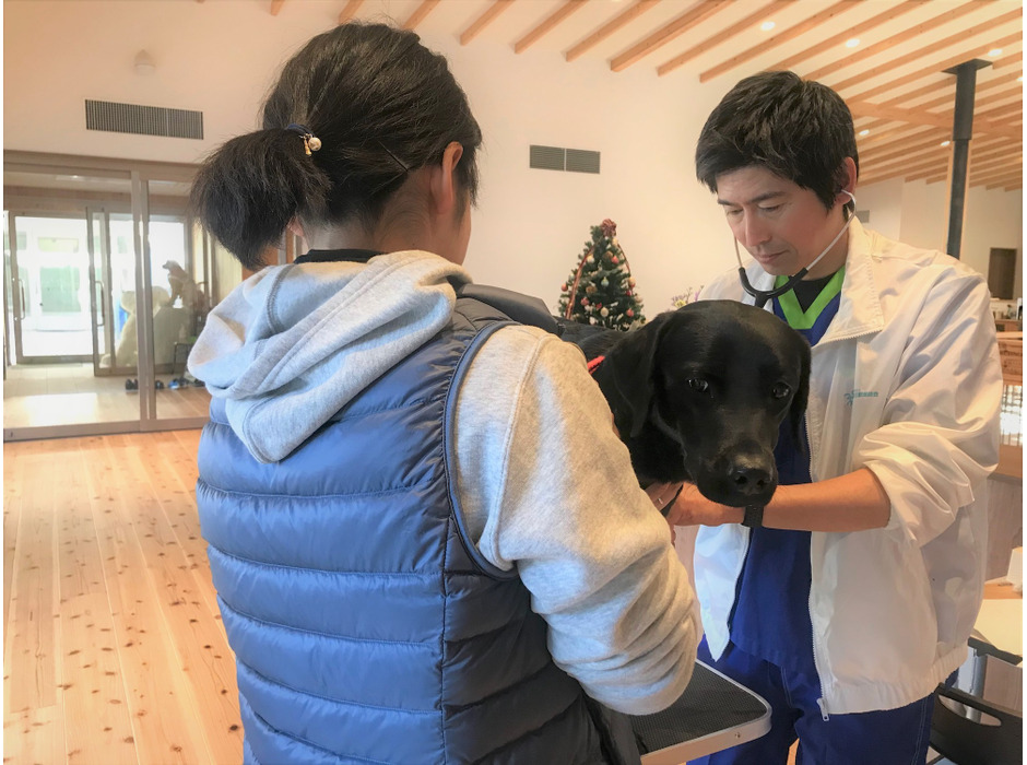 日本動物高度医療センター、IoT×AI×動物医療で盲導犬の先進的な健康管理を目指した取り組みを開始