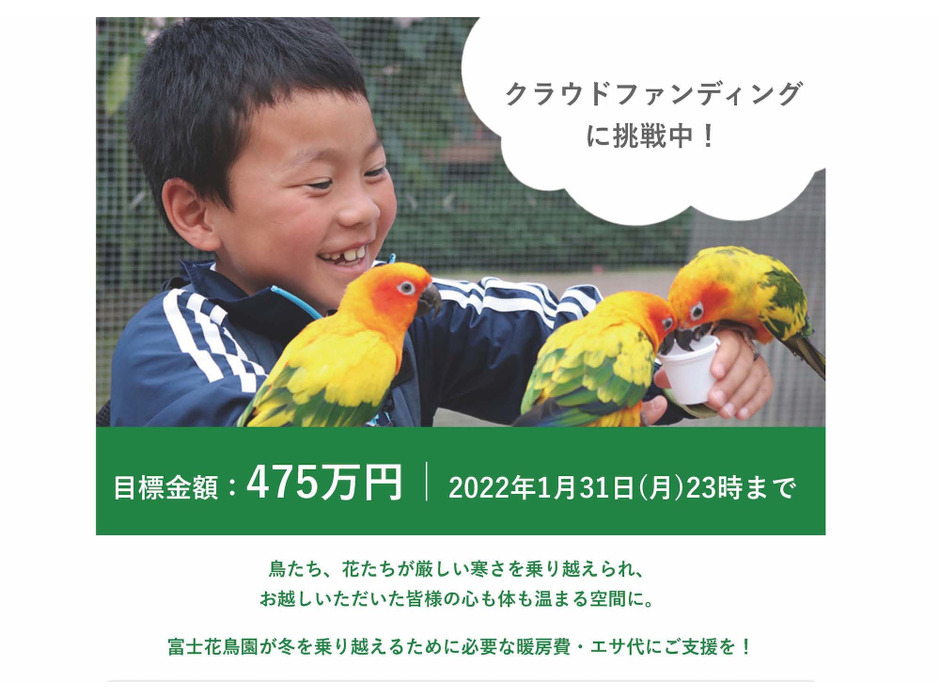 富士花鳥園、暖房費と鳥たちの餌代のためクラウドファンディングに挑戦