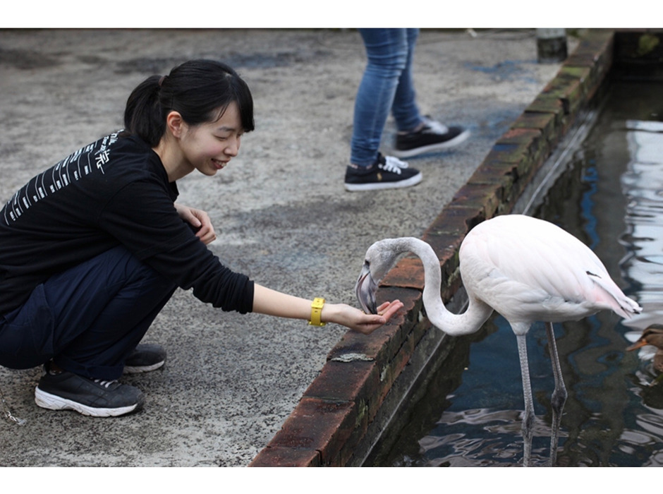 富士花鳥園、暖房費と鳥たちの餌代のためクラウドファンディングに挑戦