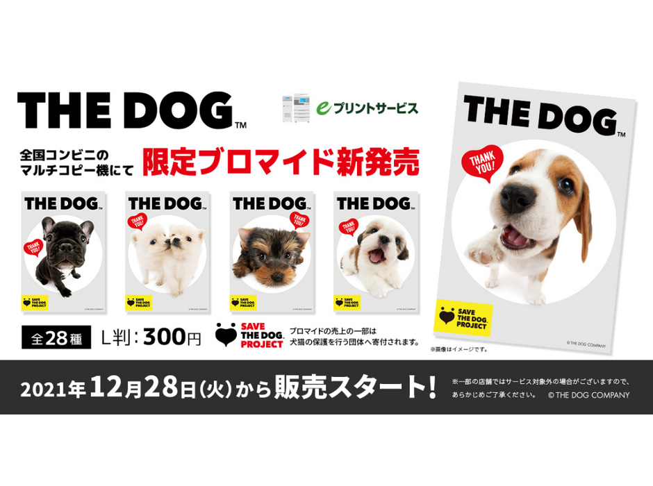 犬の写真を買って保護活動に参加、「THE DOG ブロマイド」発売
