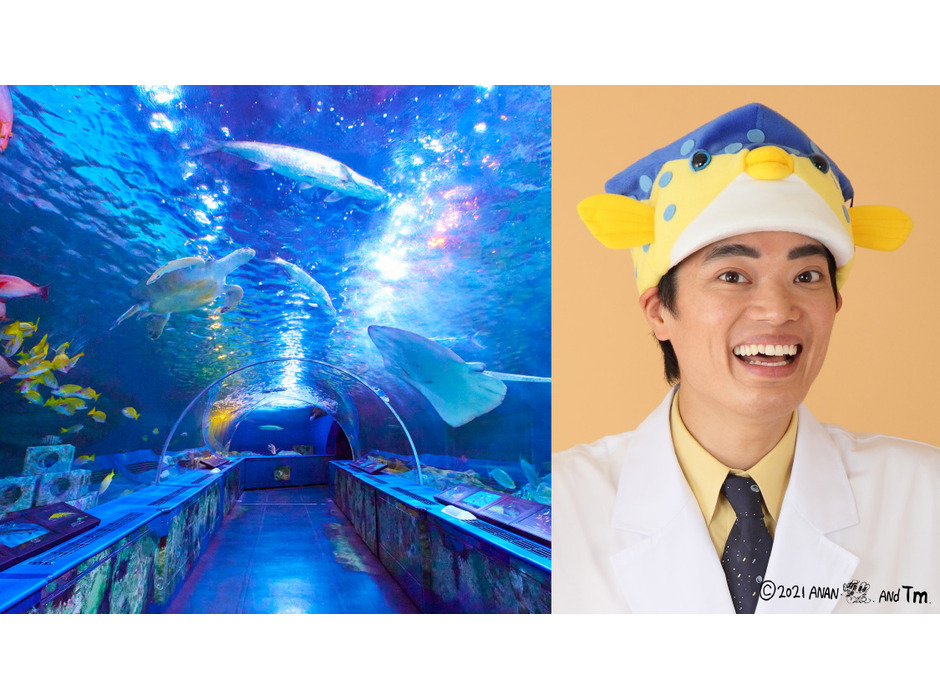 JR東海×しながわ水族館コラボイベント、「しながわ水族館夜間貸切 特別体験」を開催