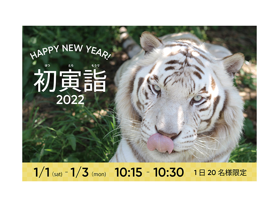 2022年の干支トラを間近で観察できる「初寅詣2022」を開催