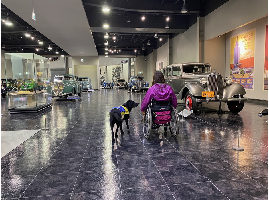 約1年ぶりにトヨタ博物館での介助犬トレーニング実施