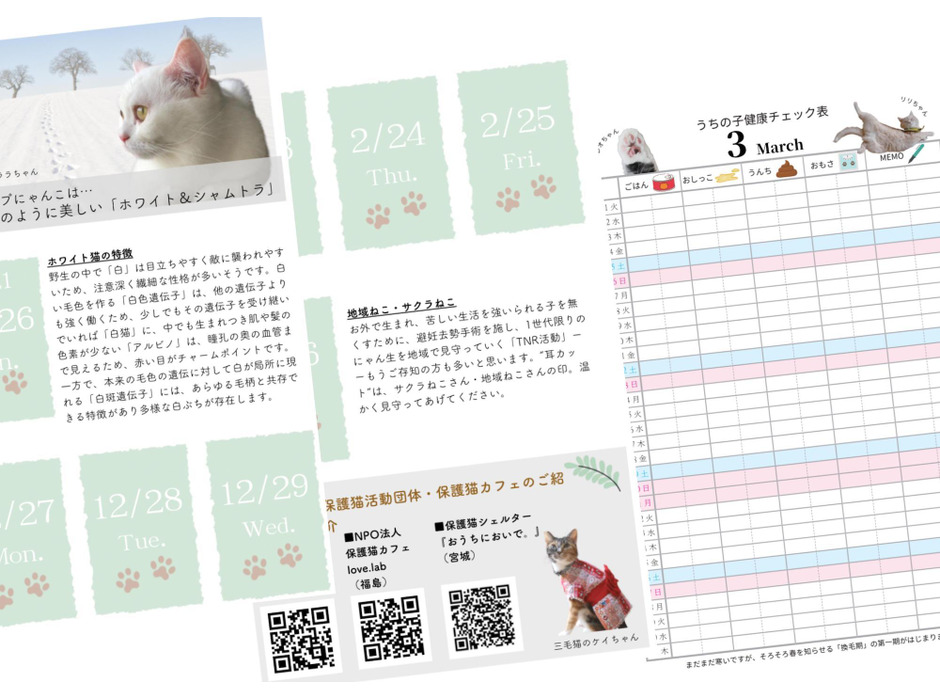 付せん式日めくりカレンダー「SUMIKA×himekuri へそ天deごめん寝猫カレンダー2022」発売