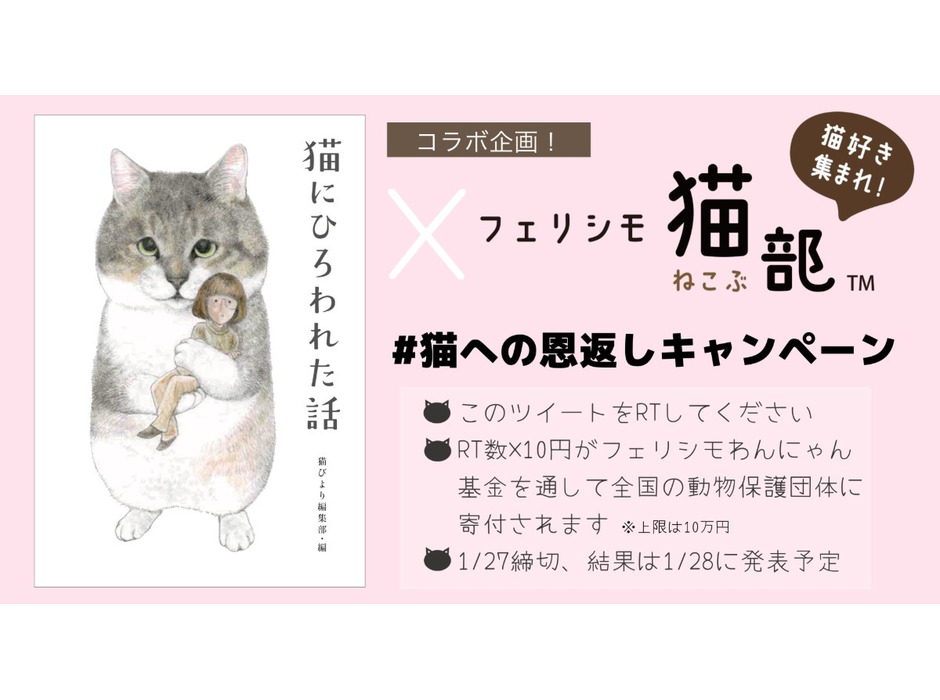 書籍『猫にひろわれた話』とフェリシモ猫部がコラボ、RT数×10円寄付キャンペーン開始