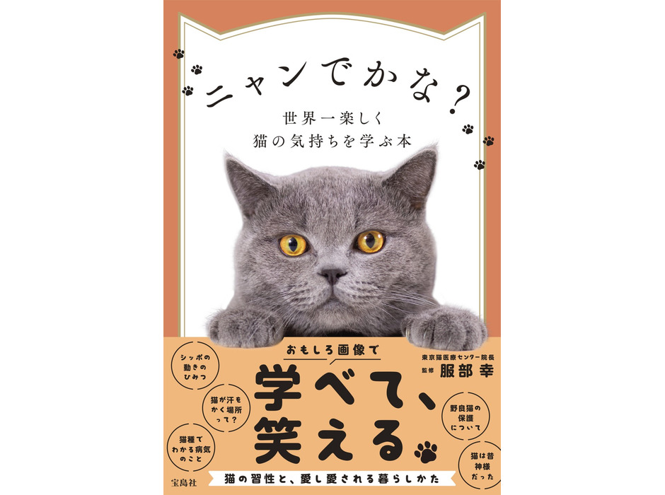 『ニャンでかな？ 世界一楽しく猫の気持ちを学ぶ本』