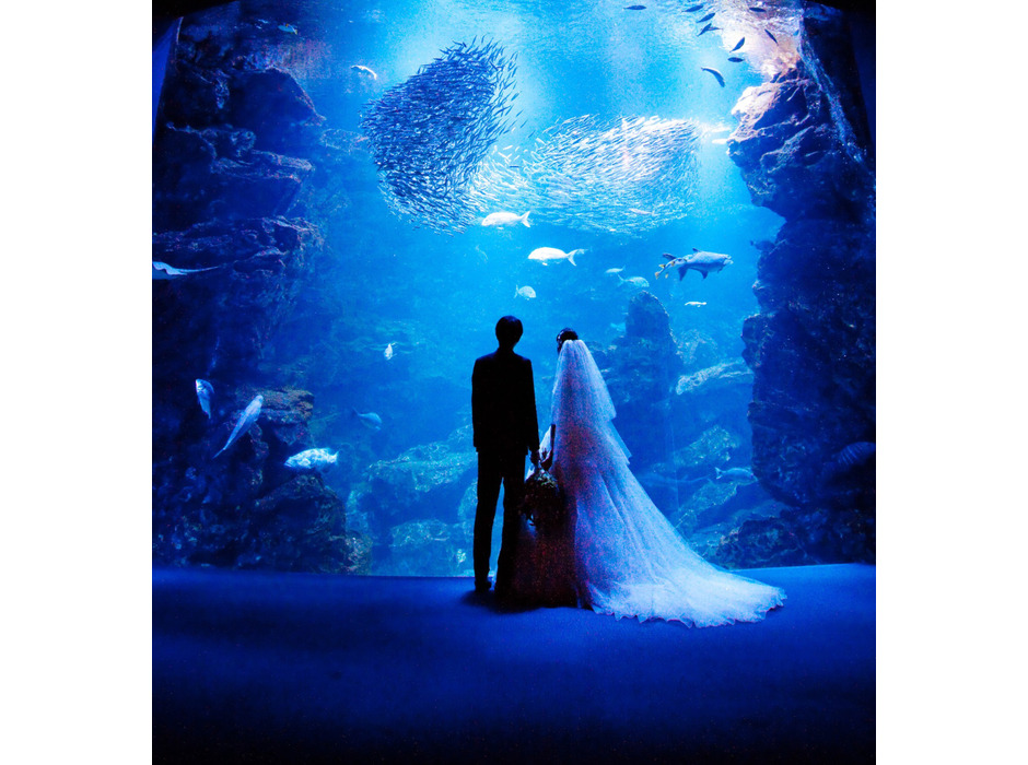 リーガロイヤルホテル京都、京都水族館で結婚式を挙げられるプランを発売