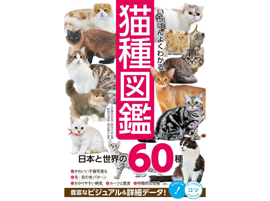 『いちばんよくわかる猫種図鑑 日本と世界の60種』