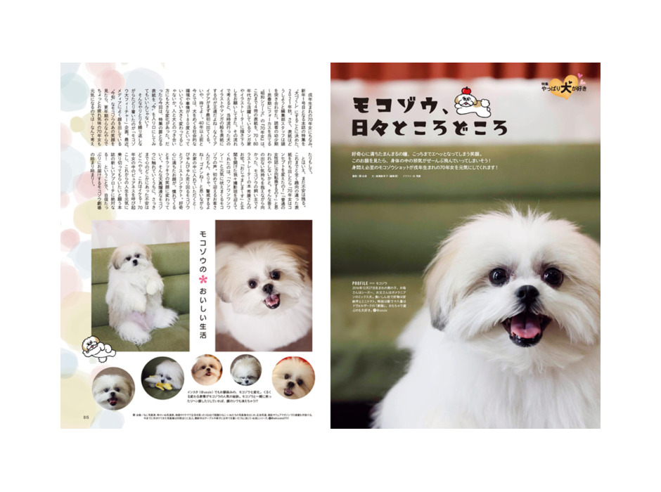 『昭和45年女・1970年女』vol.5 戌年生まれの女性たちに贈る犬特集