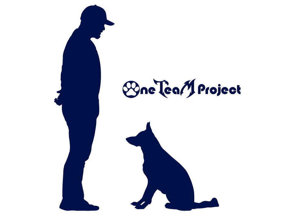 プロジェクトロゴ
