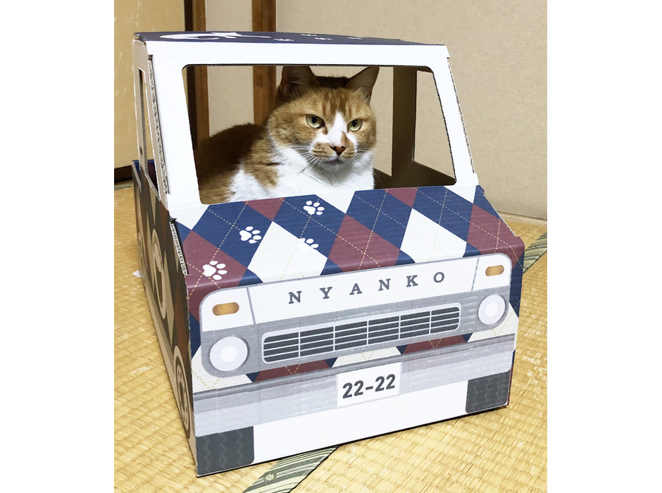 アースダンボールからダンボール製の「猫トラック」発売