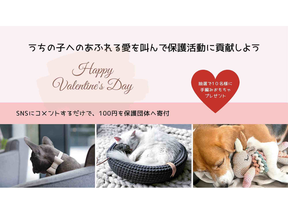 ペット用品店・mof-mof、「愛を叫んで保護犬を救おう」キャンペーンを実施