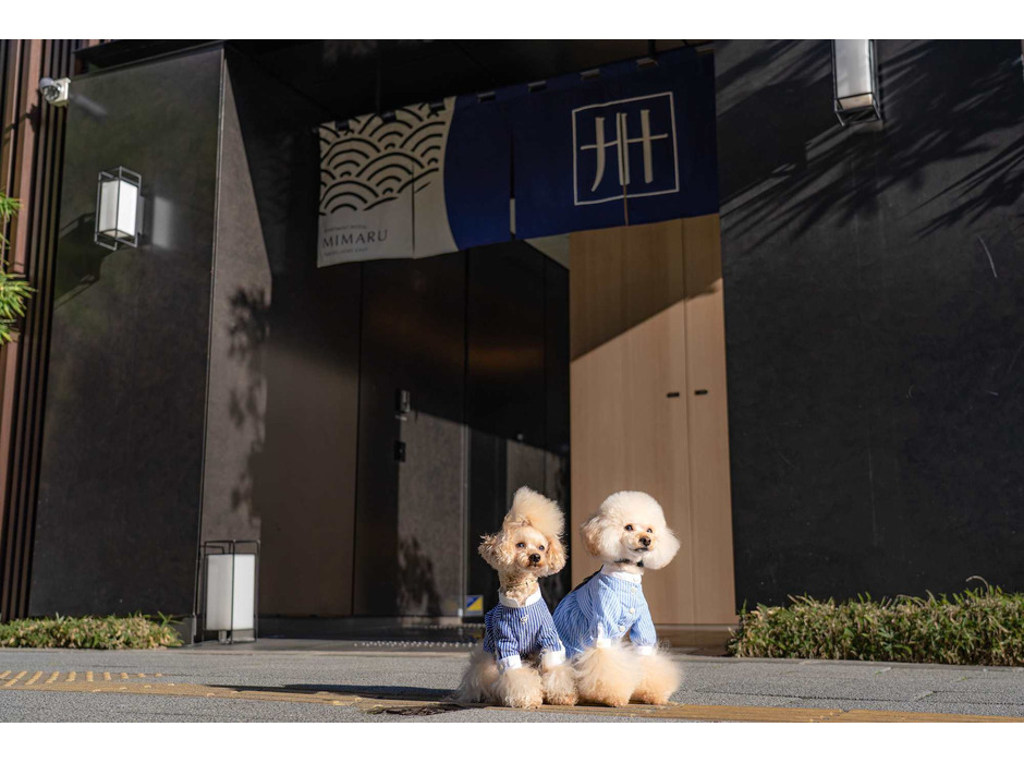 MIMARU東京 上野EAST、愛犬と一緒に泊まれる「ドッグフレンドリールーム」をリニューアル