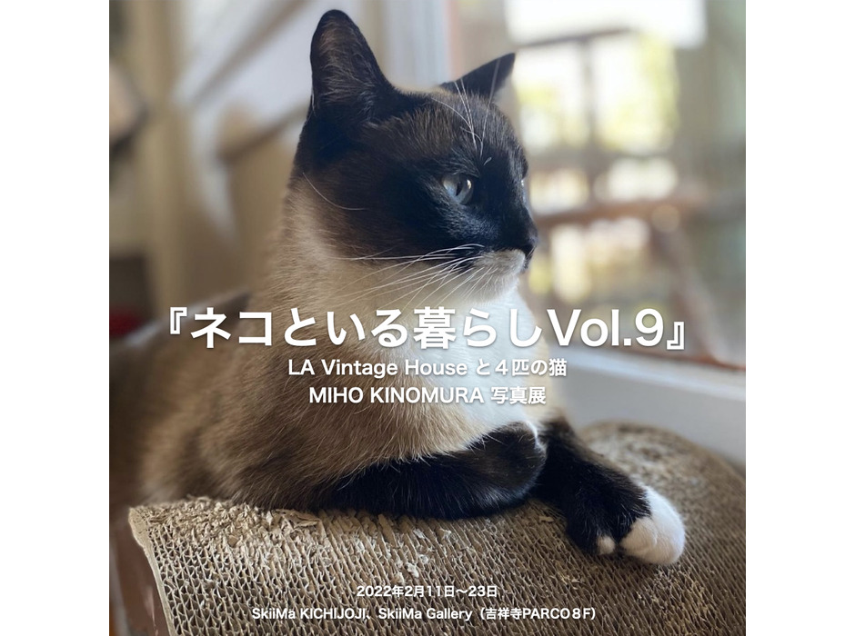 保護猫プロジェクト「ネコといる暮らし展 vol.9」、吉祥寺PARCOにて開催