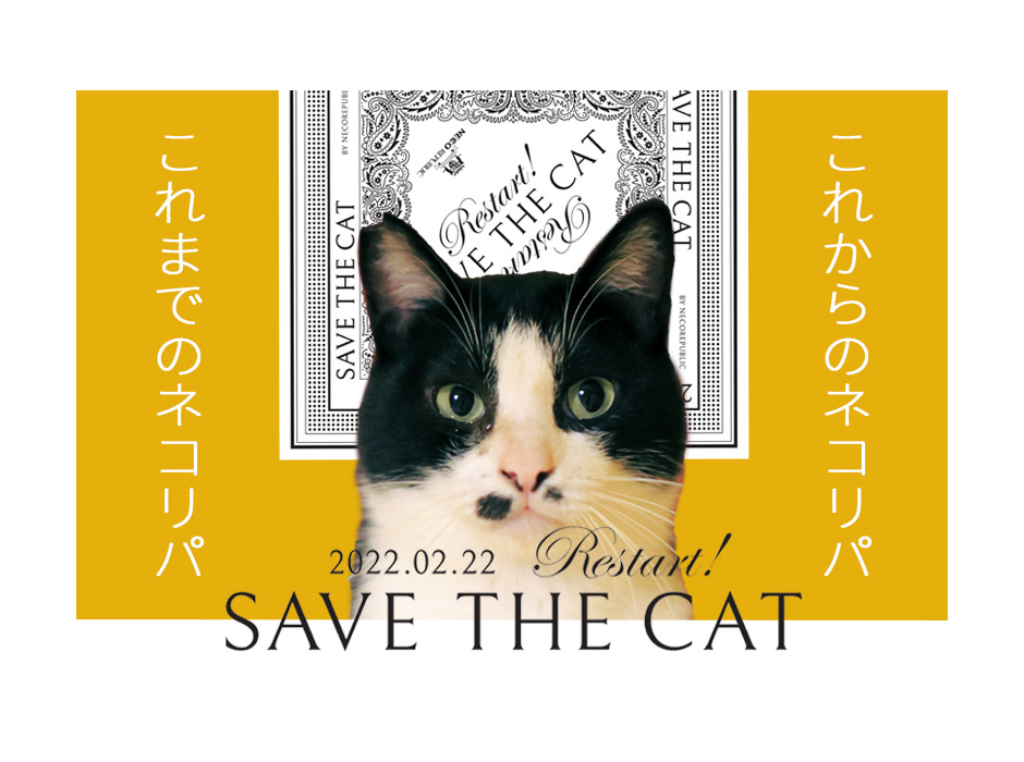 ネコリパブリック、オンライン譲渡会イベント「今世紀最大の猫の日！ネコダスケは地球を救う！」を開催