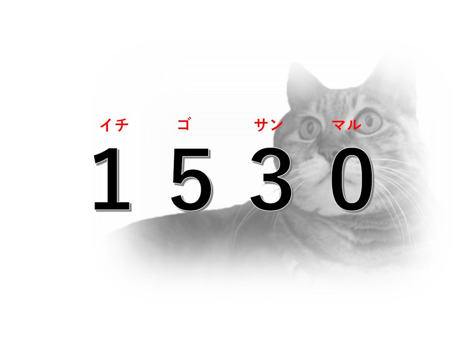 猫の1530運動：15歳まで30本