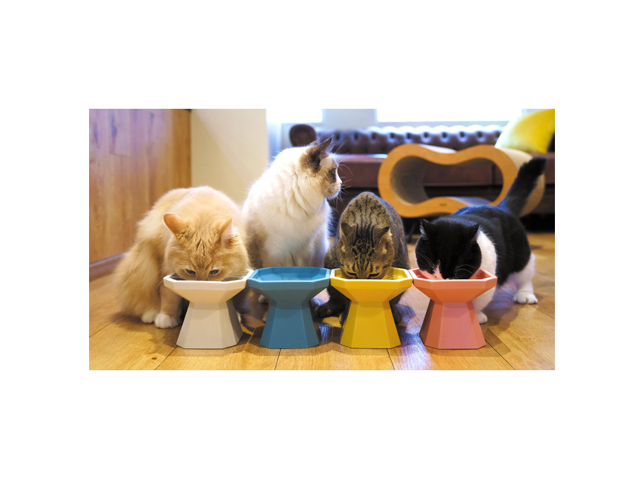 Octagon Bowl（猫用食器）