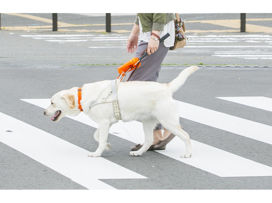 パリミキ×日本盲導犬協会、「パリミキ・ロービジョン商品体験会」をメガネのパリミキ掛川店にて開催