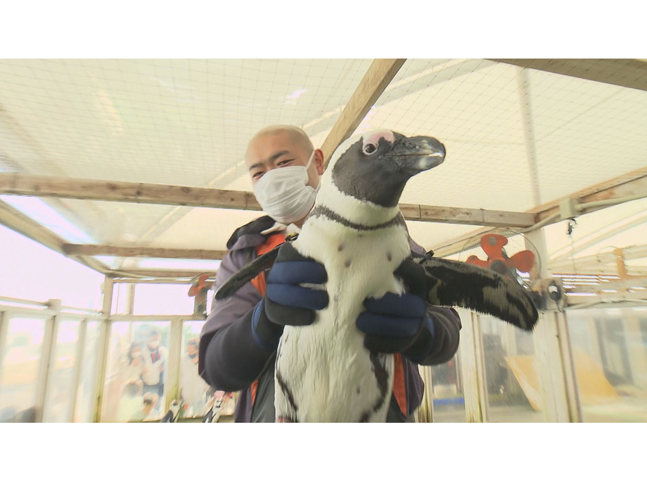 「アニマルリスペクトTV 動物さまの言うとおり」第2弾、3月6日放送