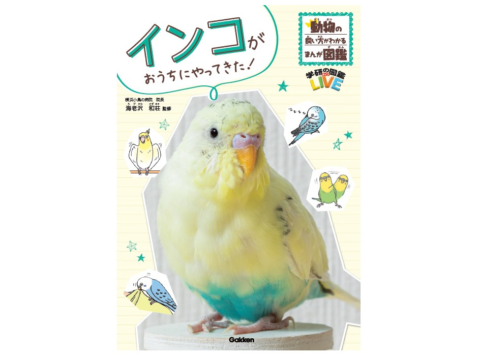 『インコがおうちにやってきた！』