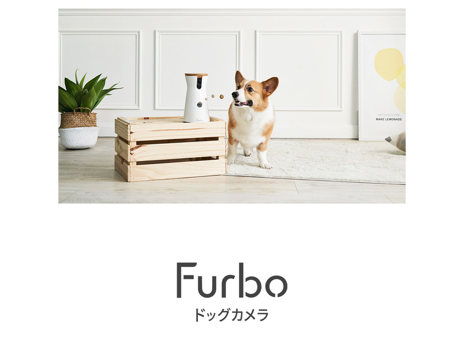 Furbo（ファーボ/Tomofun）