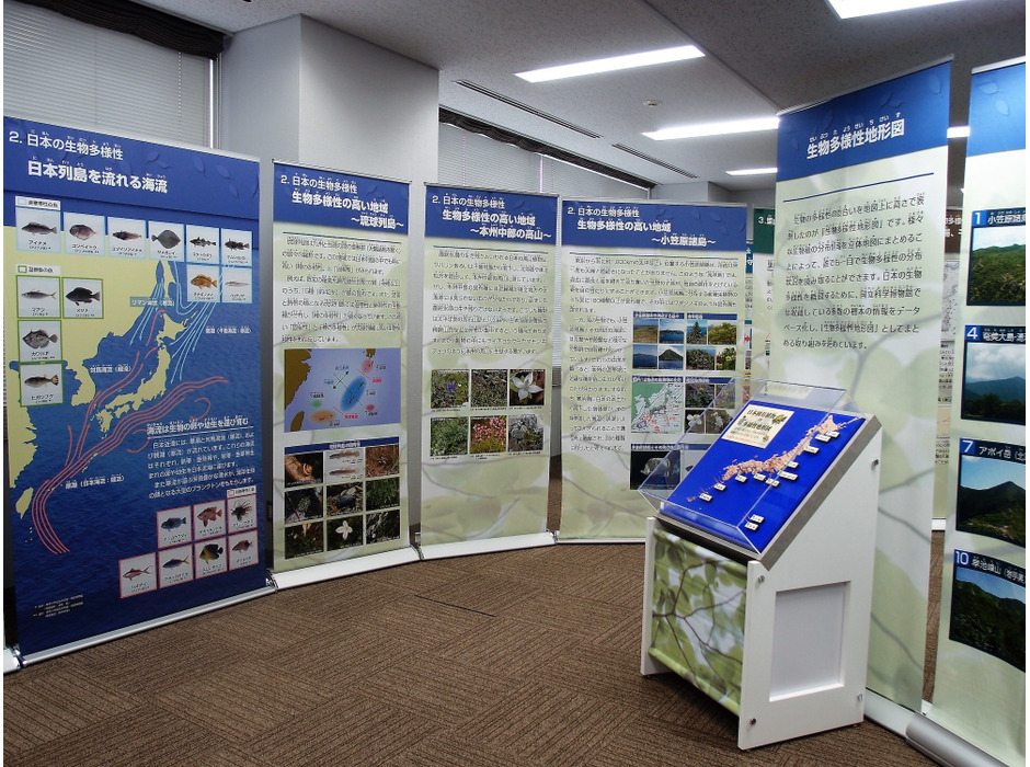 「日本の生物多様性とその保全」の展示パネル