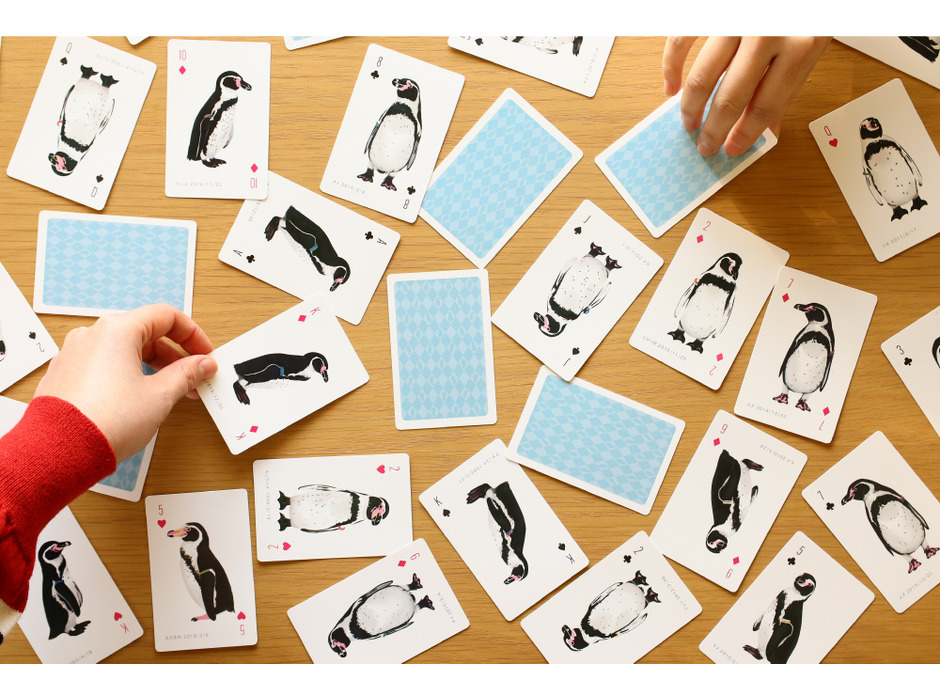 東武動物公園監修、「世界一むずかしい！？ フンボルトペンギンのカードゲーム」発売