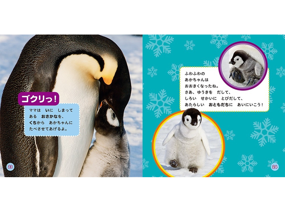 『ナショジオキッズ わくわく地球探検隊！ ペンギンの世界』