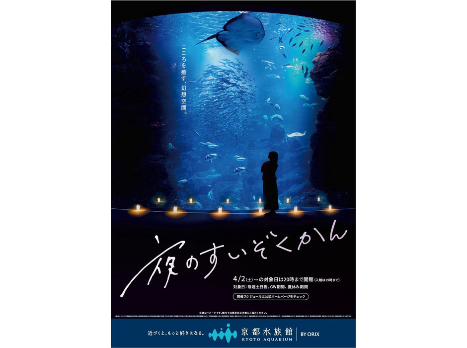 京都水族館、「夜のすいぞくかん」を開催