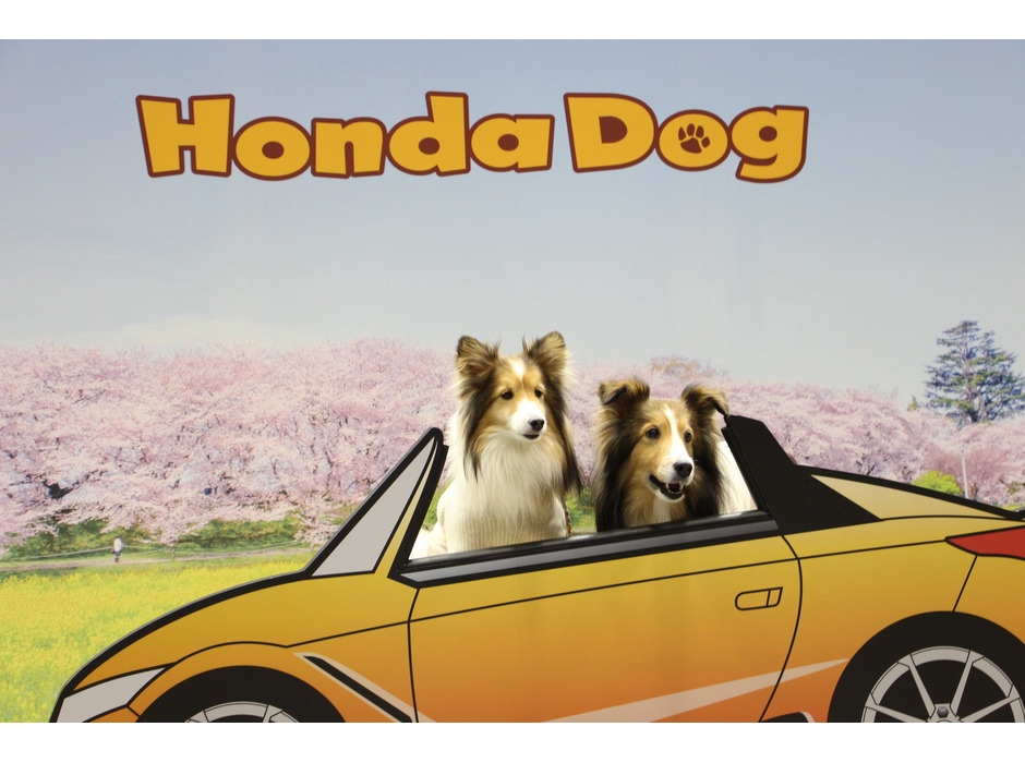 Honda Dogブース（インターペット2022）