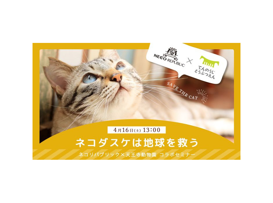 「ネコリパ猫助け文化祭」大阪・新世界で開催