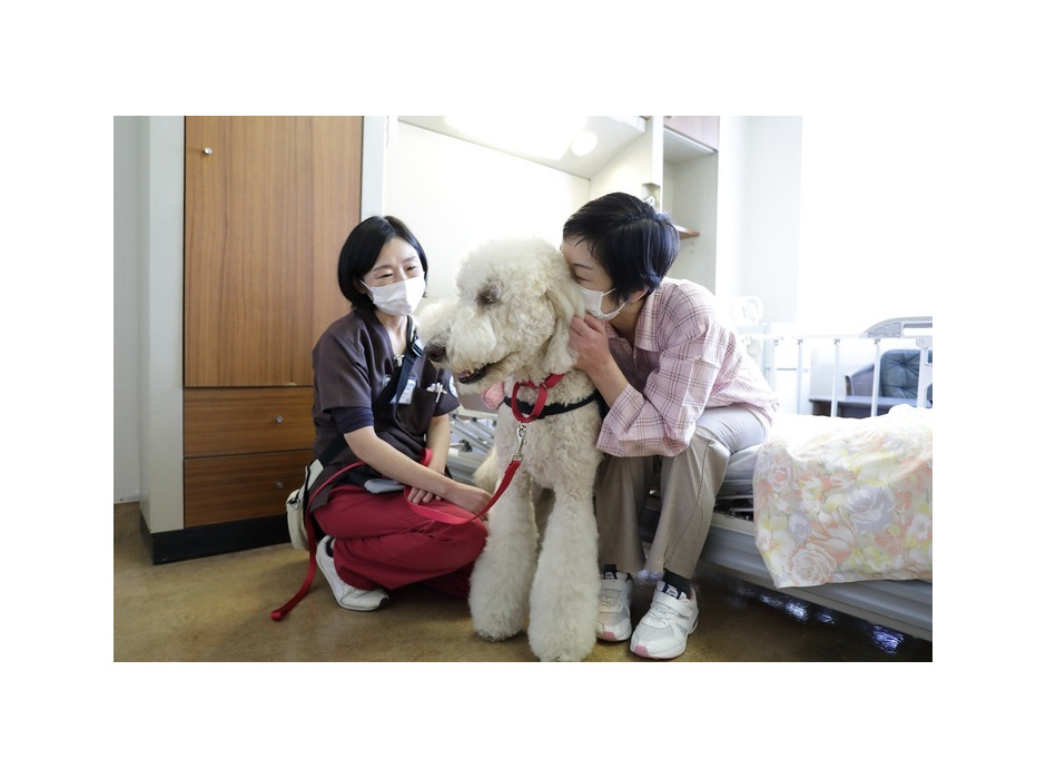 日本介助犬協会、3代目勤務犬育成のためのクラウドファンディングを実施
