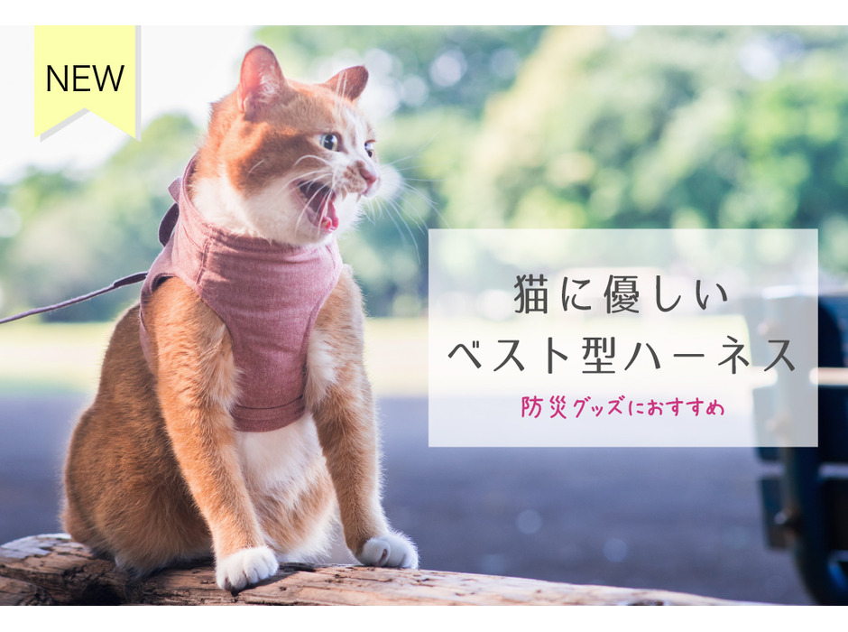 猫の防災グッズ「猫に優しいベスト型ハーネス」を発売