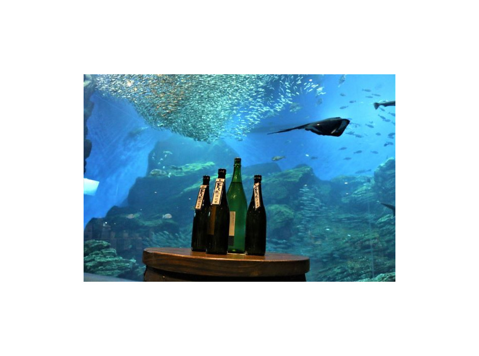 「魚を肴に 日本酒ナイト水族館」