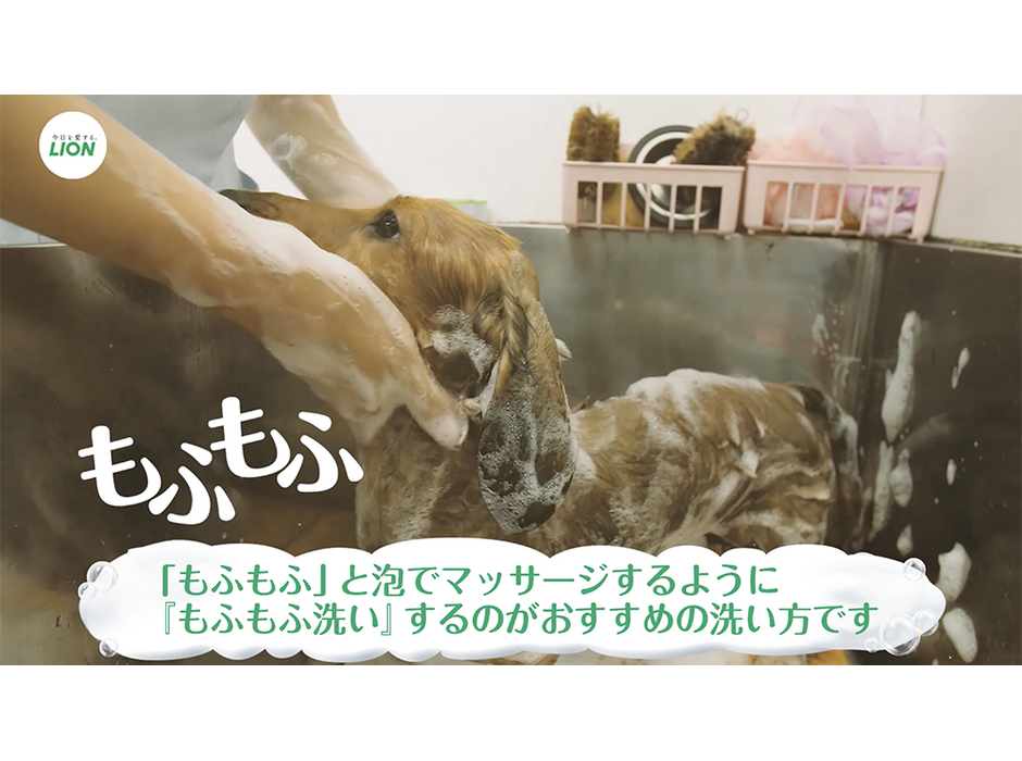 「愛犬へのシャンプー習慣」に着目した生活者アンケート