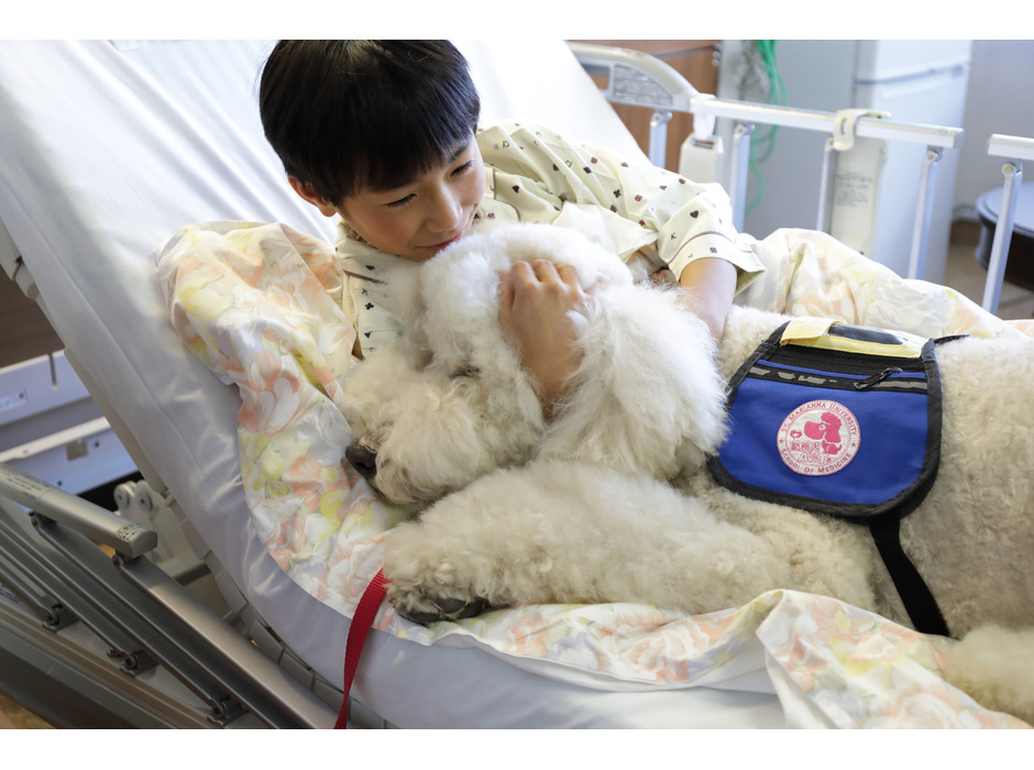 動物介在療法に携わる「勤務犬」のモリス