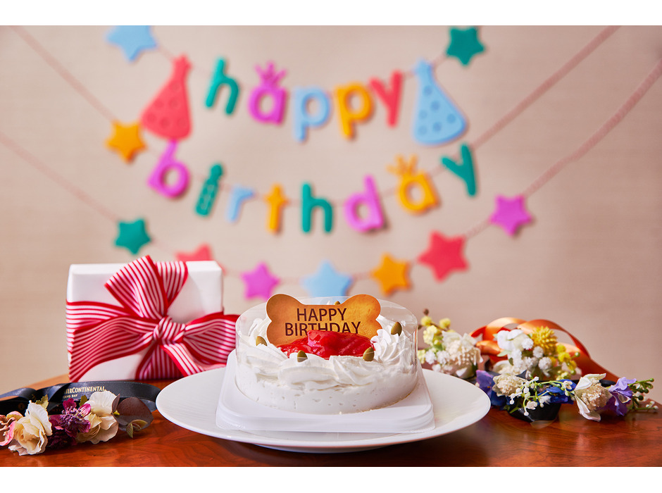 愛犬の誕生日やステイ記念をより一層華やかに演出するケーキセットを用意