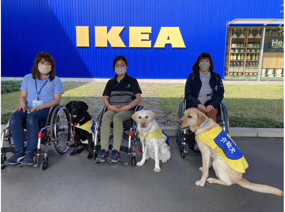 IKEA長久手での介助犬トレーニング