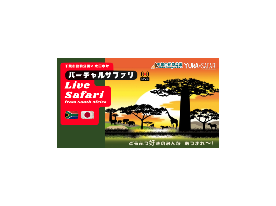 千葉市動物公園×太田 ゆか　“Live Safari from South Africa”