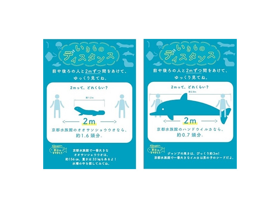 京都水族館「いきものディスタンス」を実施