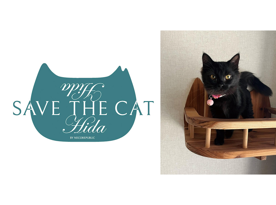 保護猫のためのオープンシェルター「SAVE THE CAT HIDA シェルター」