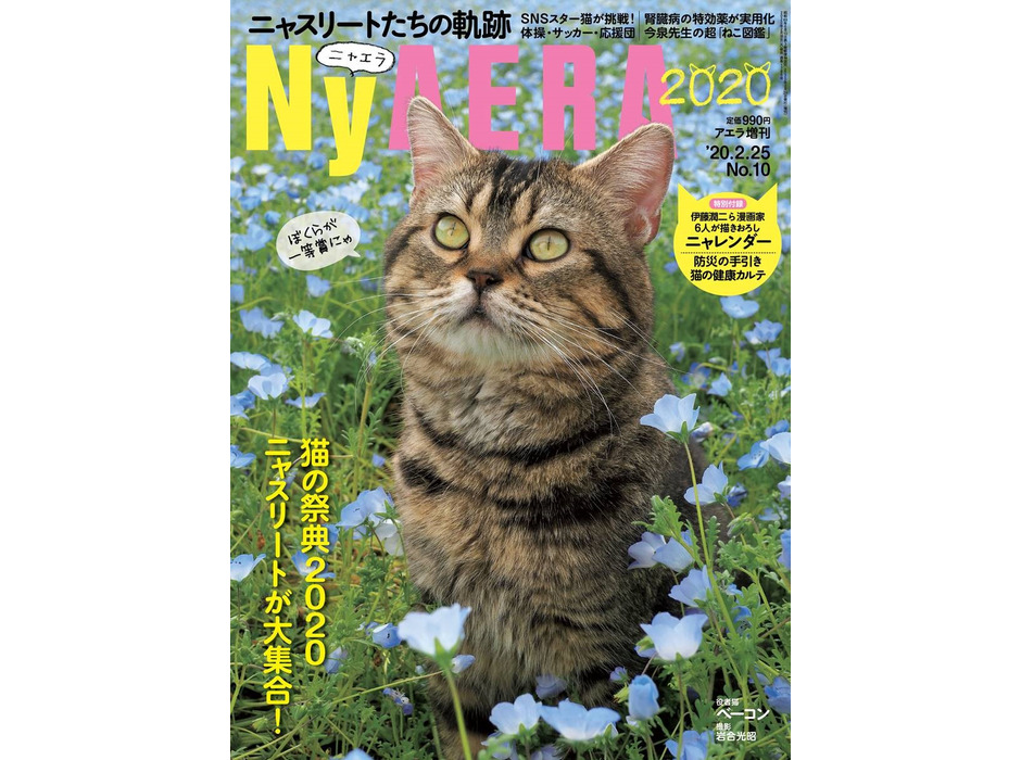 朝日出版社「NyAERA（ニャエラ）」
