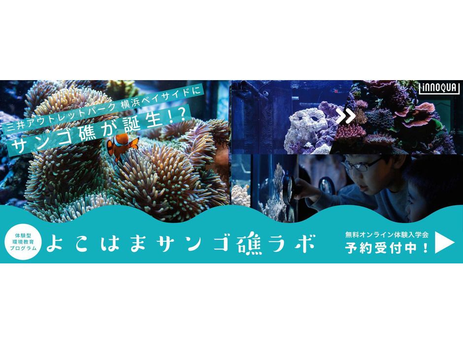 イノカ、サンゴ礁を育てるプログラムを開催