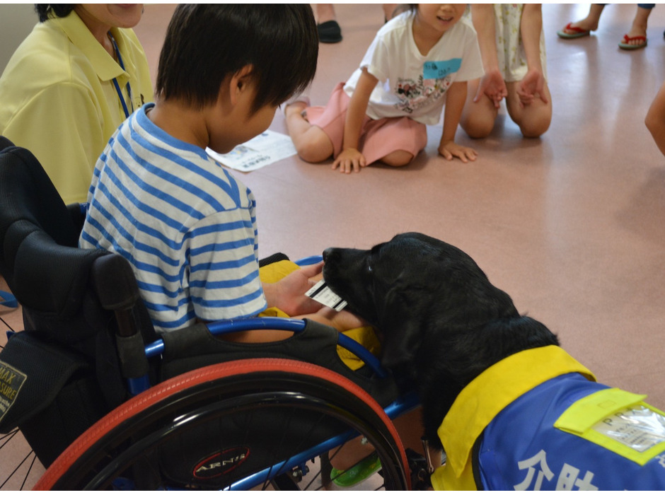 日本介助犬協会、WEBにて介助犬教室を開催