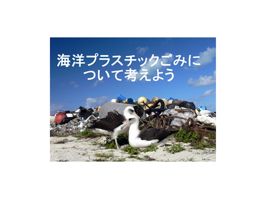 WWFジャパン、「海洋プラスチックごみについて考えよう」を公開