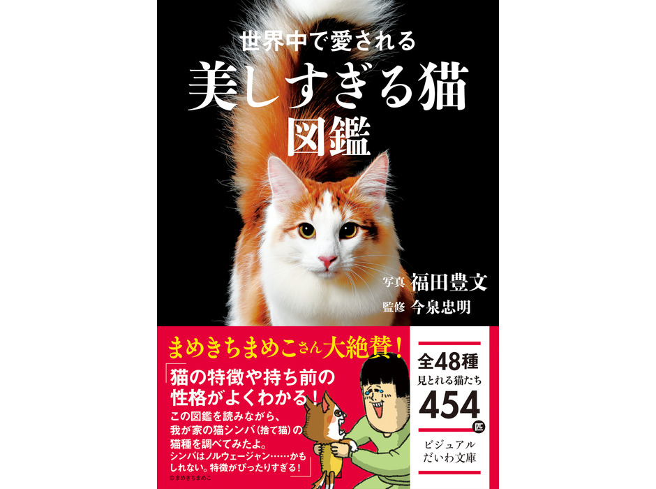 大和書房、「世界中で愛される美しすぎる猫図鑑」を刊行